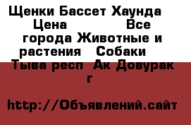 Щенки Бассет Хаунда  › Цена ­ 25 000 - Все города Животные и растения » Собаки   . Тыва респ.,Ак-Довурак г.